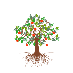 how to start a charity phase 5