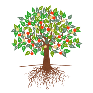 how to start a charity phase 6