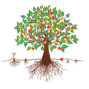 how to start a charity phase 7